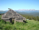 DSC05636
