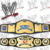unified tag team championship