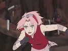 sakura-animestocks[com]-097