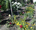 060620104008