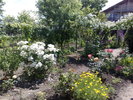 050620103953