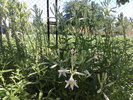 060620104005