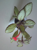 Silver Skies - miniatura (2)