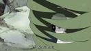 itachi-animestocks[com]-064