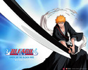 Bleach_2