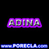 504-ADINA avatar server