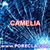 528-CAMELIA avatare nume mici
