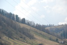 DSC_0050