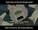 Sakura_Haruno_The_Angry_Monkey_by_kokolien