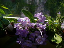 P1270082