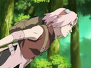 sakura0