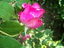 100_0519