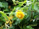 100_0646
