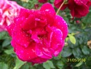 100_0656