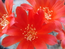 DSC08905