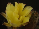 DSC08940
