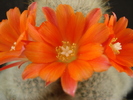 DSC08950