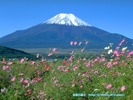 Mt%20Fuji%20Oct