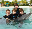 the-dolphin-even-got-bieber-fever-lols-justin-bieber-9725148-440-400