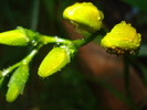 DSC05456