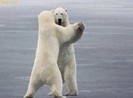 haideti la tango!