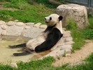 Vrau sa ma relaxez!