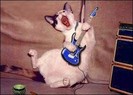 Hai la rock!