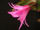 DSC08969
