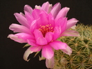 DSC08975