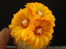 DSC08984