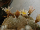 DSC08997
