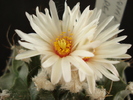 DSC09000