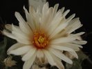 DSC09003