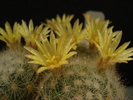 DSC09016