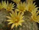 DSC09019