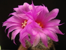 DSC09033