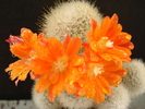 DSC09041