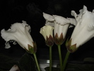 13.06.2010