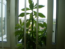 P3170152
