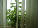 P3170153