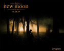 new-moon-poster-gone