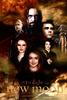 new-moon-poster-volturi-Grodansnagel