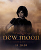 new-moonstephani-johnson