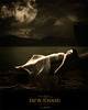 new-moon-Velouria-Designs