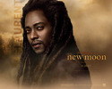 new-moon-wallpaper-laurent