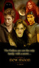 p-c-cullen-