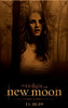 Stephanie-Gray-1