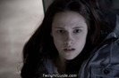 bella-swan-fear