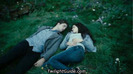 edward-bella-grass