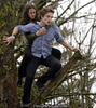 edward-bella-tree